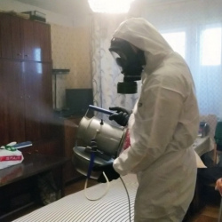 Дезинфекция от клопов в Суворове