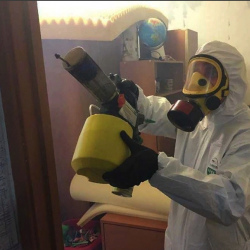 Уничтожение клопов в квартире. Суворов